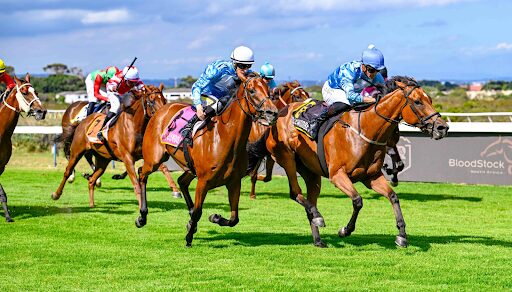 Summer Horse Racing